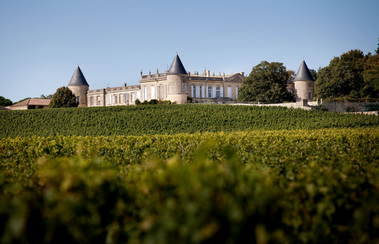 （Chateau Saint-Georges-Cote Pavie）