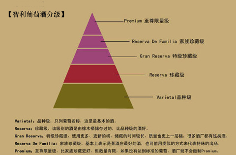 智利葡萄酒分級制度