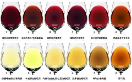 為什么葡萄酒會有很多種顏色？