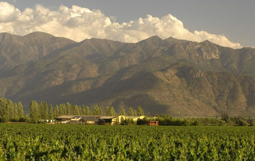 卡恰布谷產區（Cachapoal Valley）