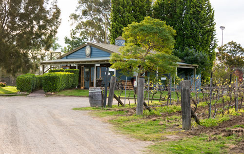 藍(lán)莓山酒莊（Blueberry Hill Vineyard）