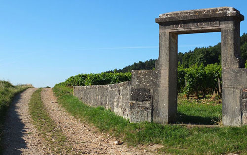 勒樺酒莊（Domaine Leroy）葡萄園