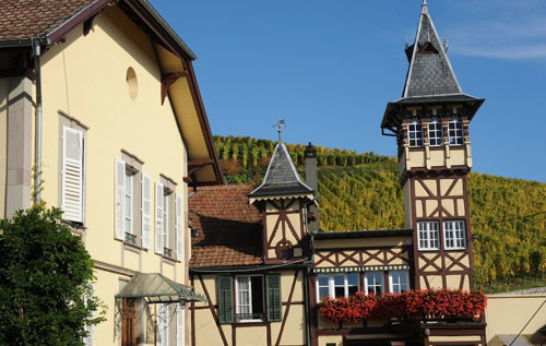 婷芭克世家酒莊（Maison Trimbach）