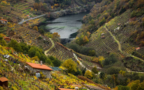 薩克拉河岸產區（Ribeira Sacra）