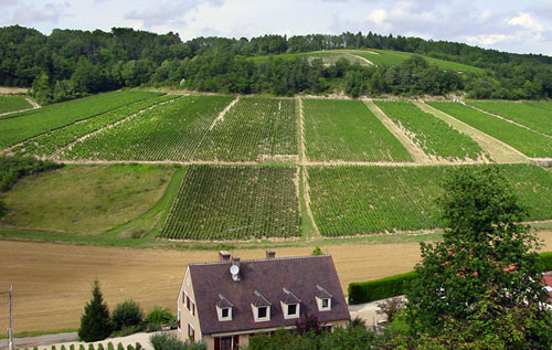 夏布利產區（Chablis）