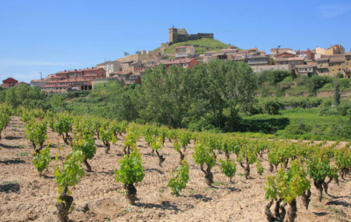  西金酒莊（Sierra Cantabria）